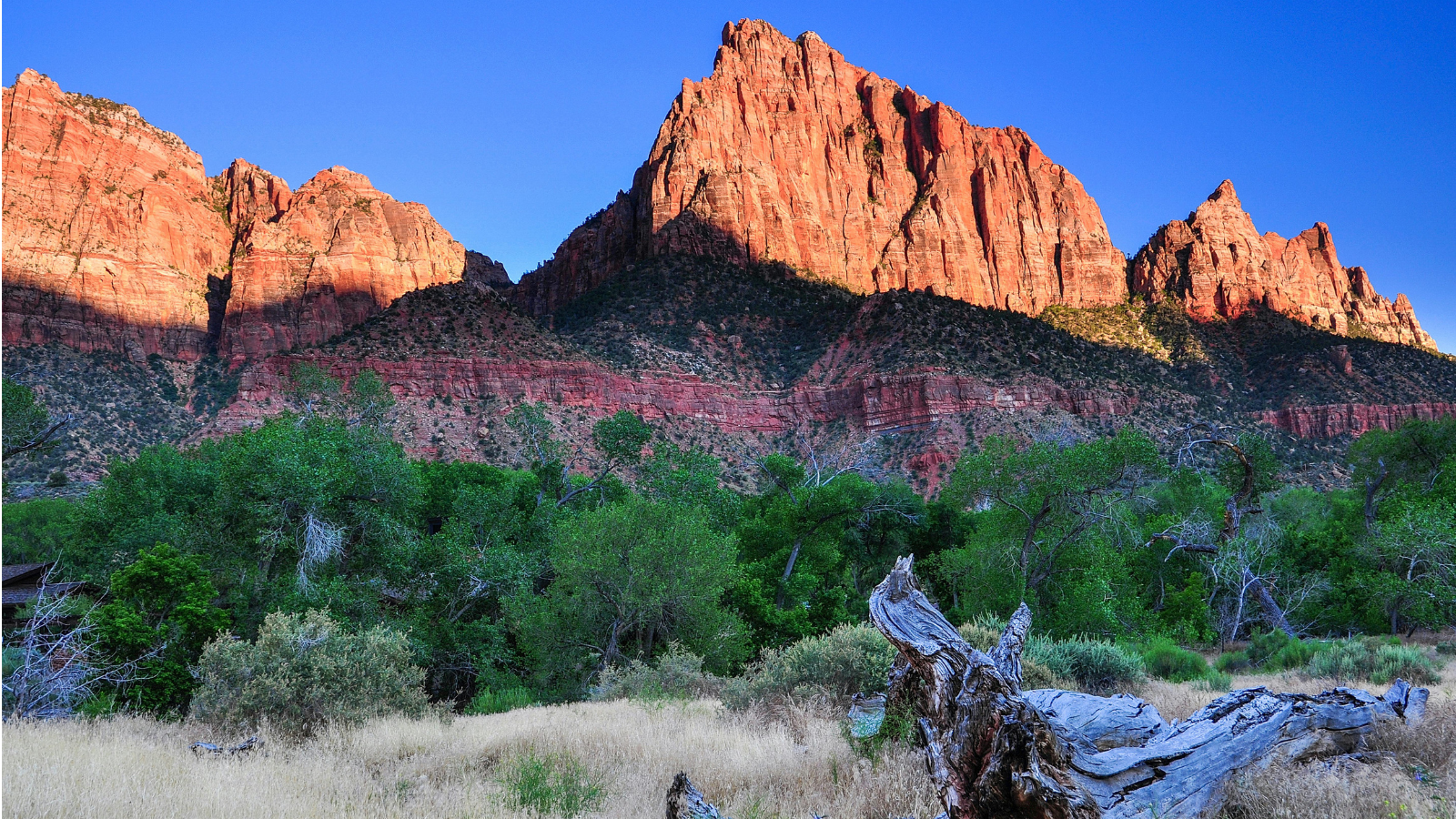 Zion National Park: A Land of Towering Cliffs and Deep Canyons
